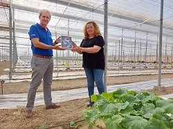 Antonio Manuel Alonso y María Rubio en el invernadero recién trasplantado de la variedad Remo_BASF