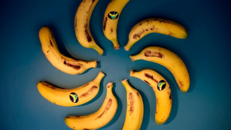 Círculo Plátanos